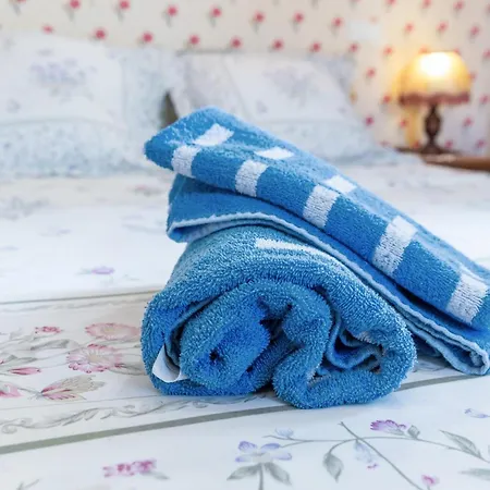 Bed & Breakfast Chez Daniel Et Zdenka Villars-les-Dombes